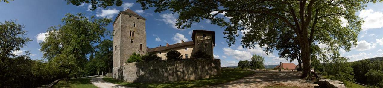 Chateau De Marigna Hotel Luaran gambar